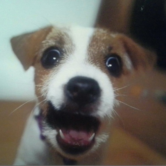 Meet your Posher, Jill - Picture 13 of 16